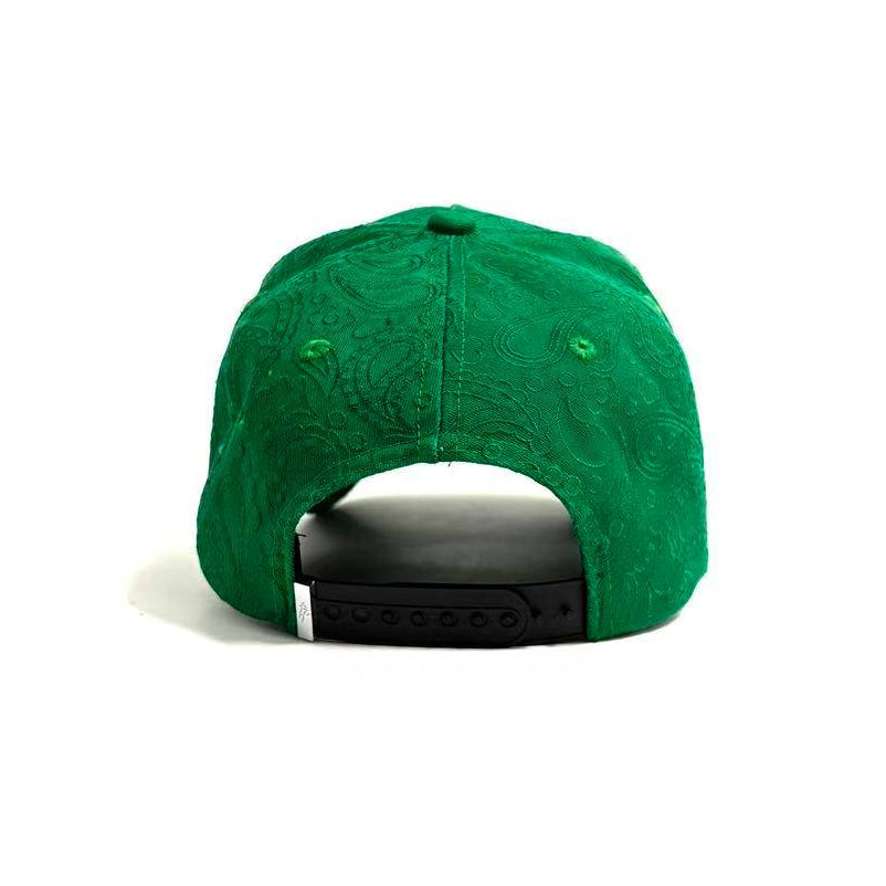 AM X FEELING GREEN